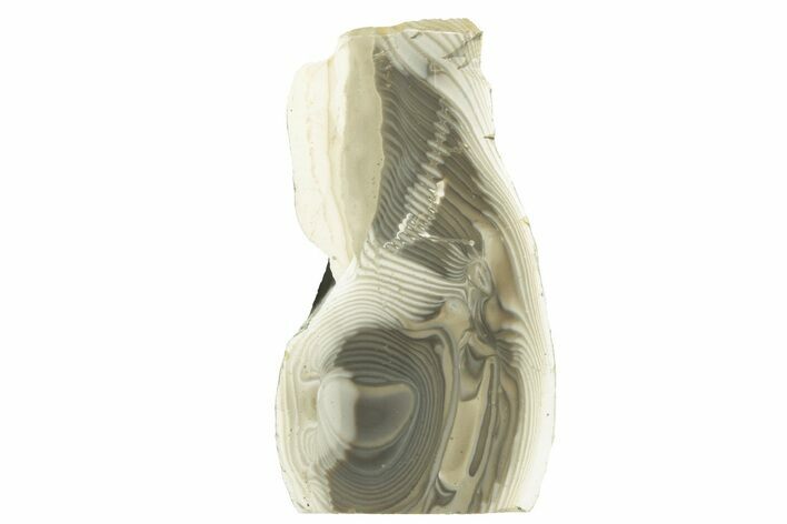 Polished, Striped Flint Stand Up - Poland #228137